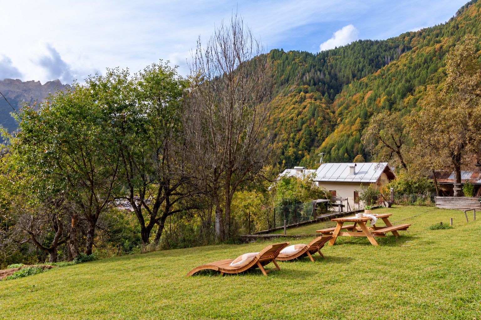 A grassy area with wooden loungers and a small building with a metal roof.