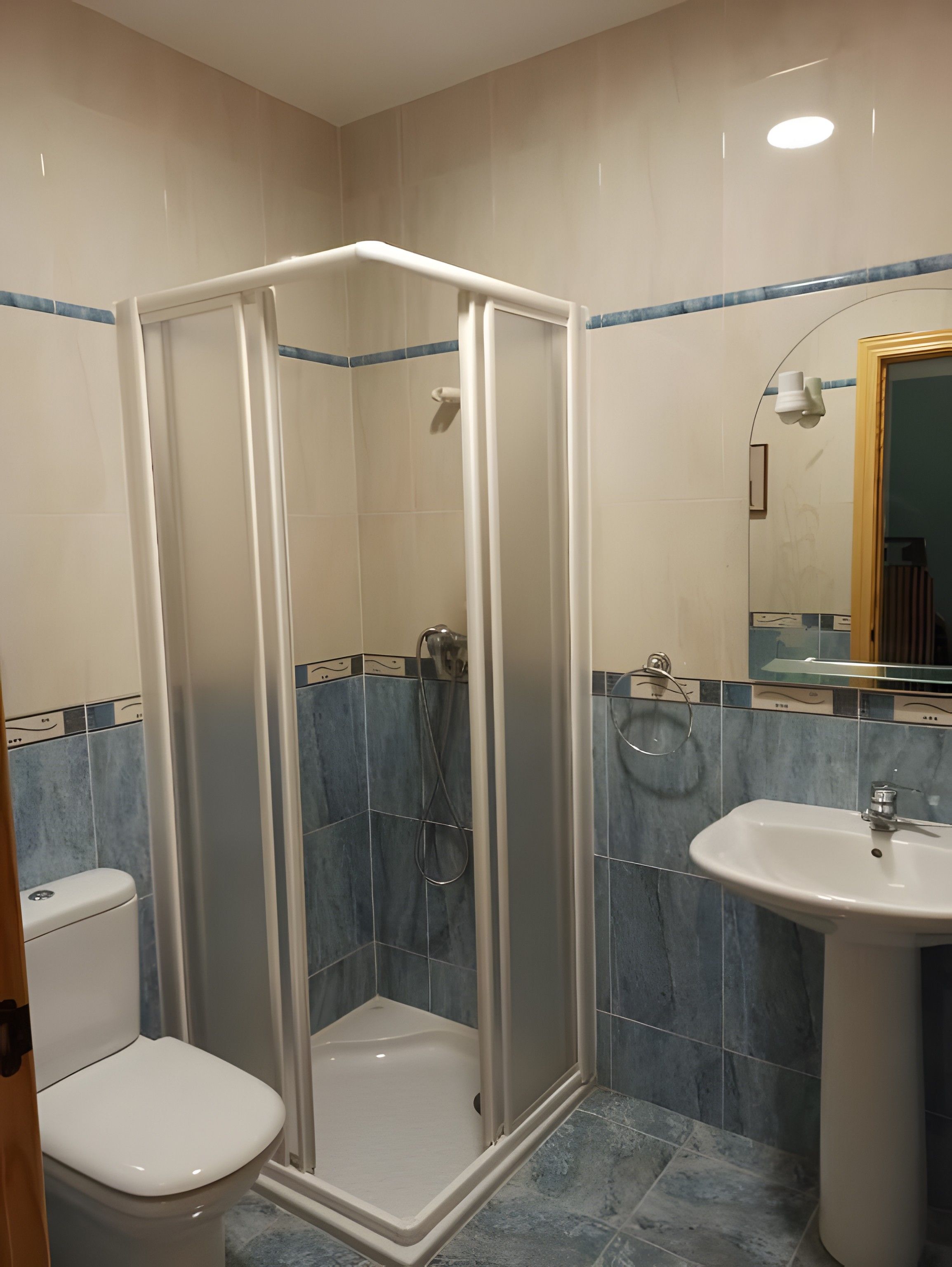 Een badkamer met een douche met glazen wand, een toilet en een wastafel.