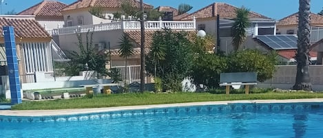 Una piscina con borde de azulejos, rodeada de césped y una palmera.