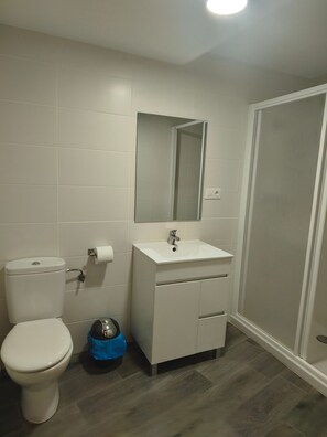 Un bagno con WC, lavandino, specchio e zona doccia.