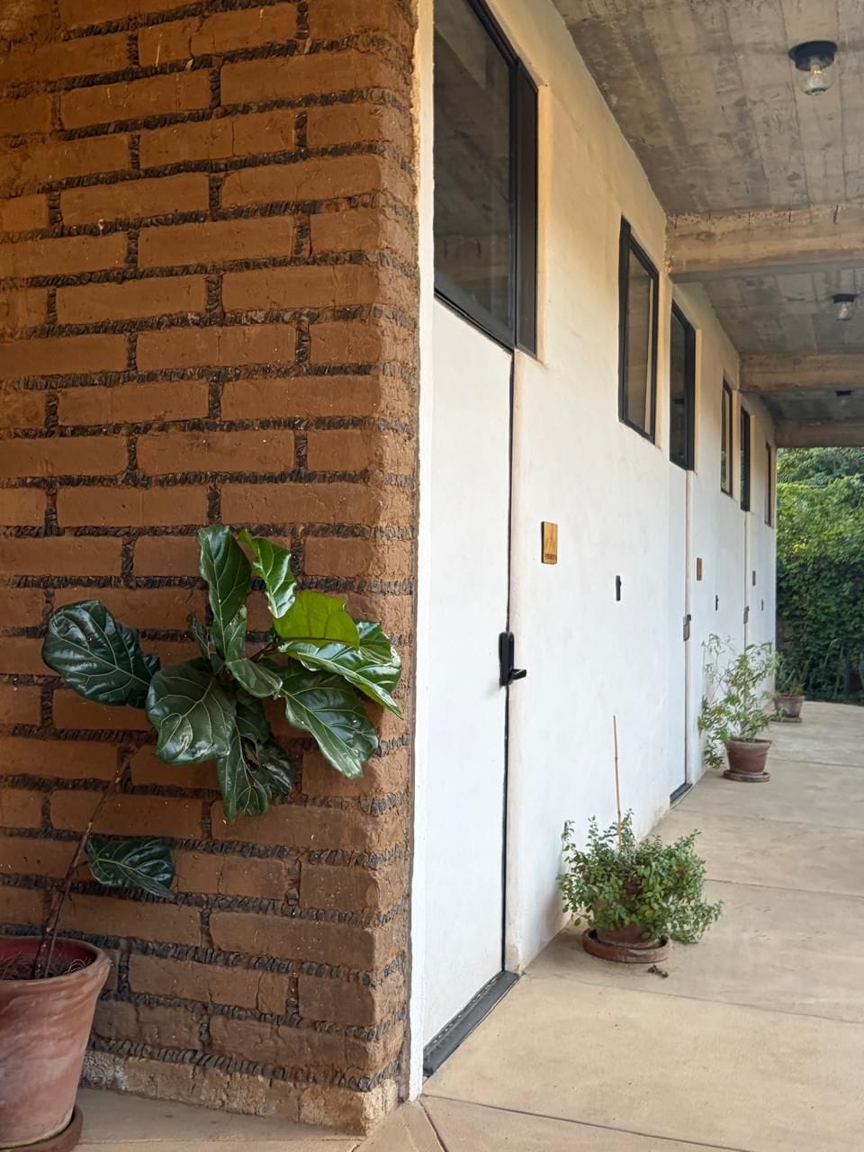 Un pasillo con una pared de ladrillo a un lado y una pared blanca al otro, con plantas en macetas a lo largo del corredor.