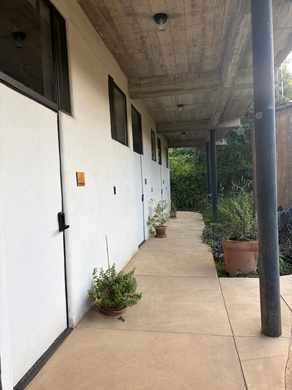 Un pasillo cubierto con plantas en macetas, piso de concreto y un edificio con ventanas y puertas.