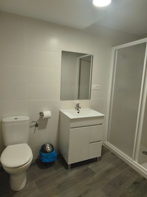 Un bagno con WC, lavandino, specchio e zona doccia.