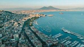 An aerial view of a coastal city with a marina filled with boats, a densely built urban area, and a mountain in the background. - The Guest from Naples (Napoli)