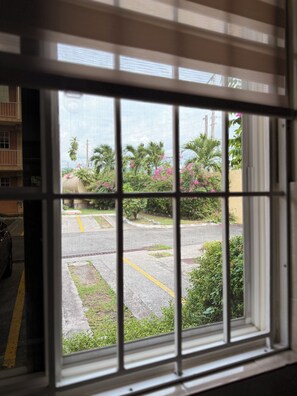 A window with a view of a parking lot and greenery outside. - Spacious and centrally located 1 bedroom apartment in the heart of Kingston (Kingston)