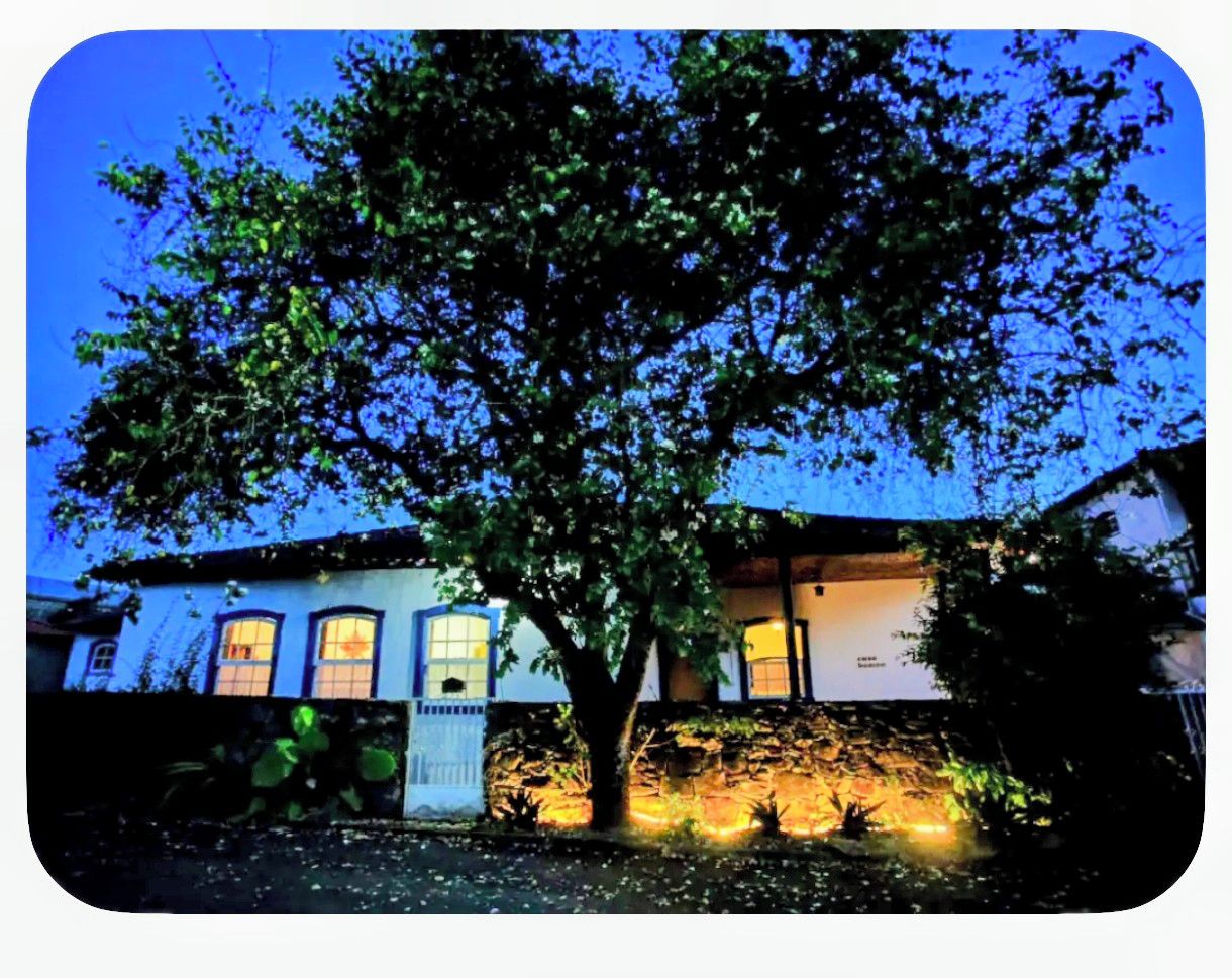 A tree in front of a building with illuminated windows.