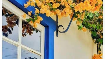 A window with a blue frame and a hanging flower arrangement.
