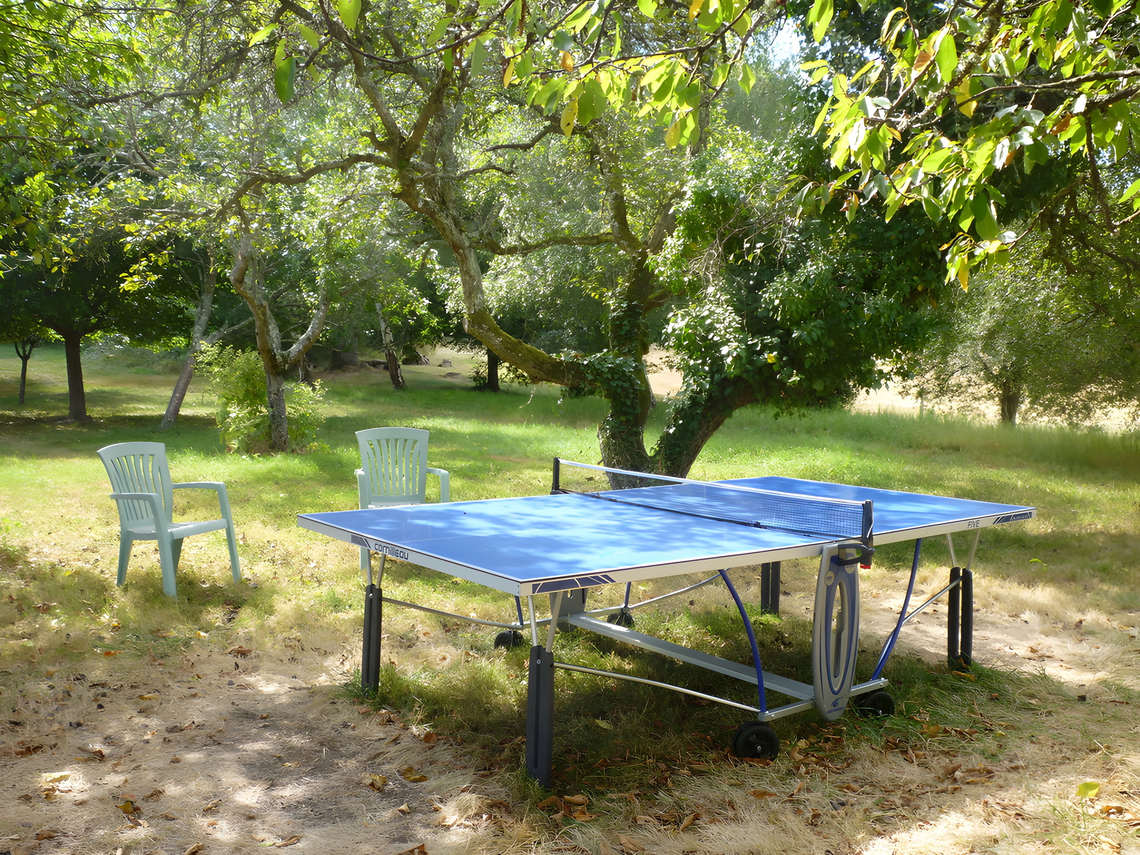 Ein Tischtennistisch im Freien mit Netz, zwei Stühle und ein Baum im Hintergrund.