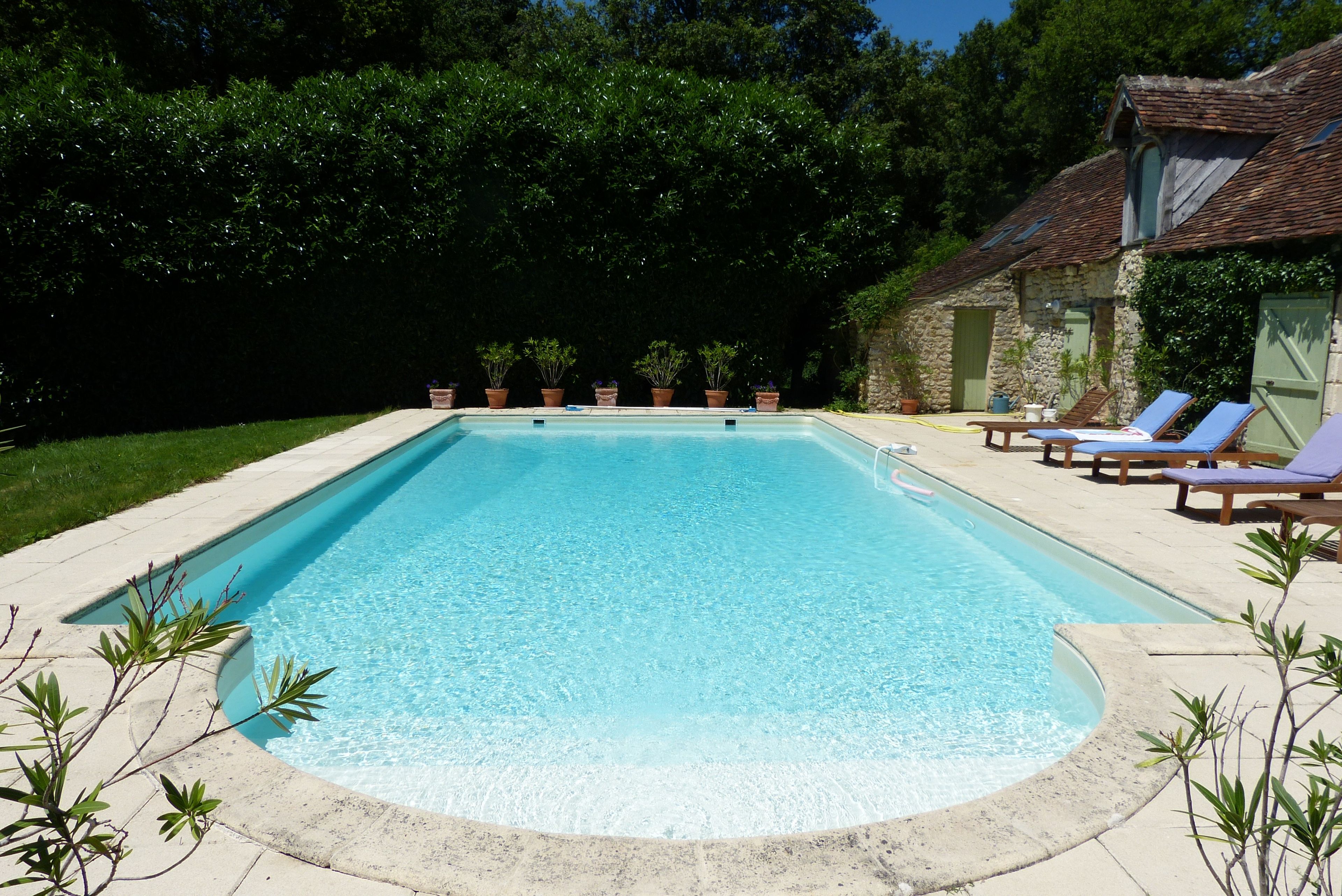 A rectangular swimming pool with a clear blue water surface, surrounded by a concrete deck. There are lounge chairs and potted plants along the poolside.