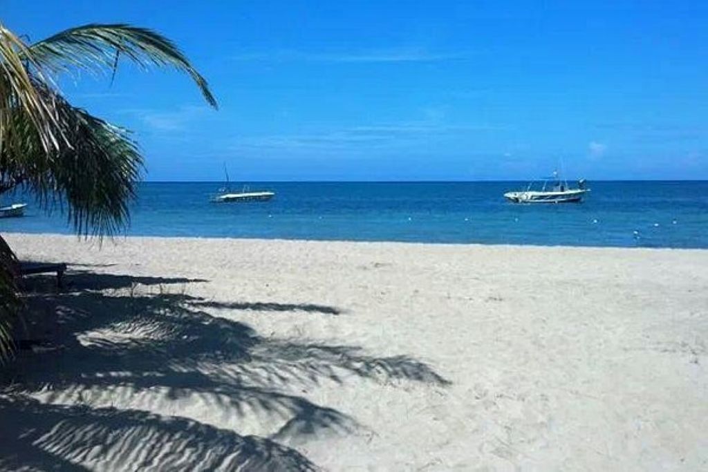 Strand