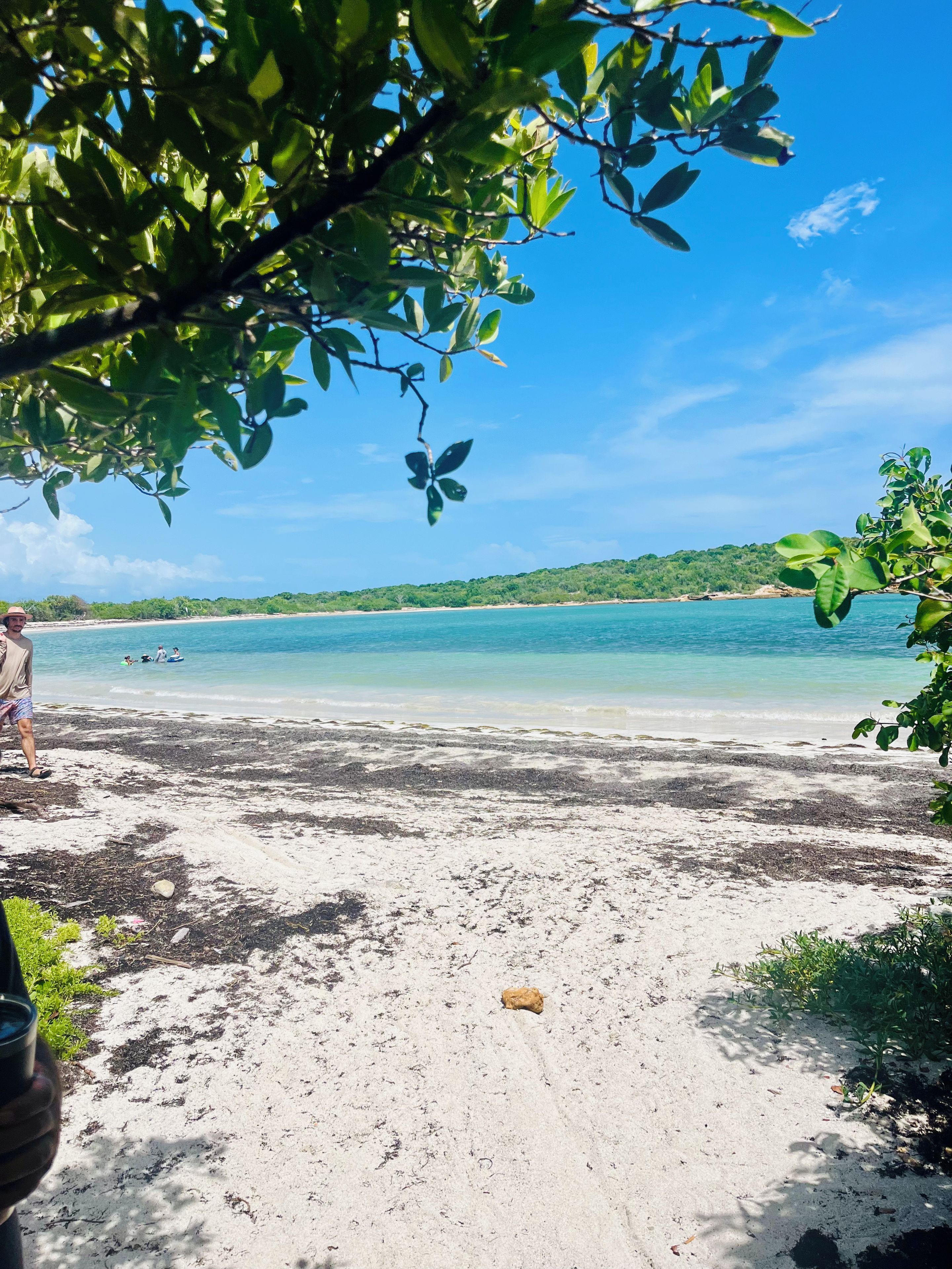 A beach with clear water, a sandy shore, and a person walking.