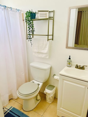 A bathroom with a toilet, a sink, a mirror, a towel rack with a plant, and a trash bin. - Mountain Retreat with Boquerón Bay Views & Heated Saltwater Pool - 3B (Cabo Rojo)