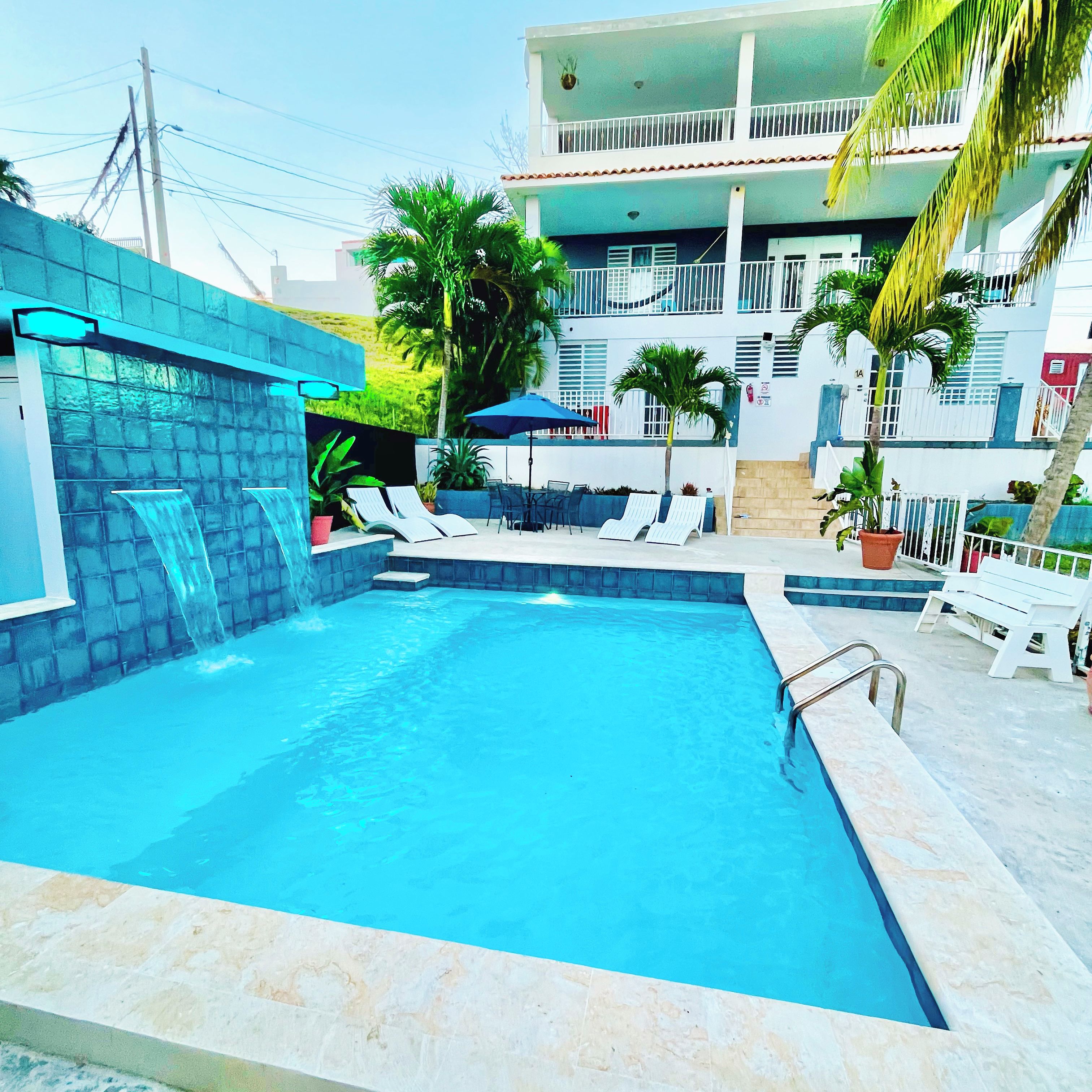 Una piscina con borde de azulejos, sillas de descanso y una palmera.