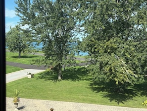 Ein Wohngebiet mit einem großen Baum, einem gepflasterten Weg und Blick auf das Meer.