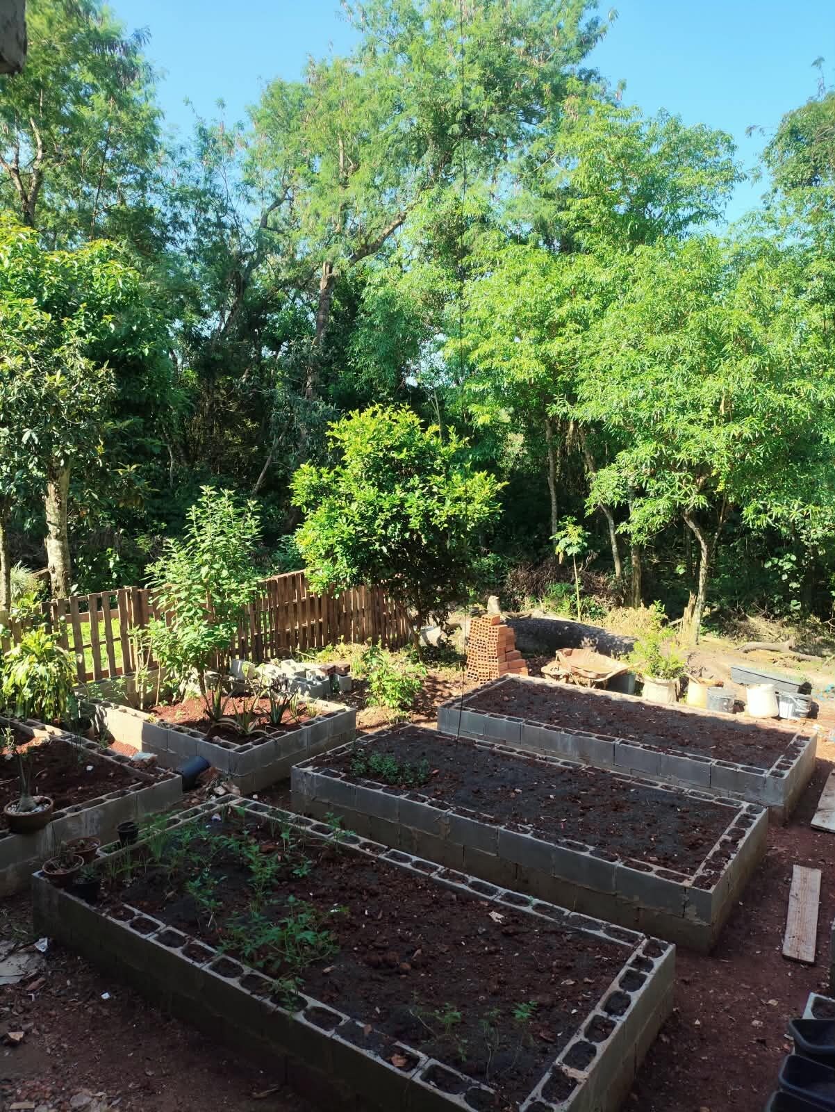Raised garden beds in a backyard with a wooden fence and trees in the background.