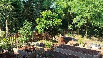 Raised garden beds in a backyard with a wooden fence and trees in the background.
