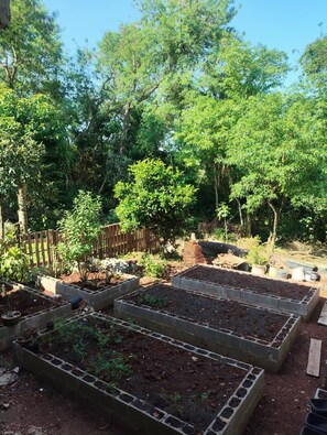 Aiuole rialzate in un giardino sul retro, con recinzione in legno e alberi sullo sfondo.