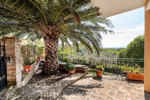 A balcony with a palm tree, potted plants, and a stone pathway. - Elegant farmhouse with a pool and hillside views for 8 people (Collazzone)