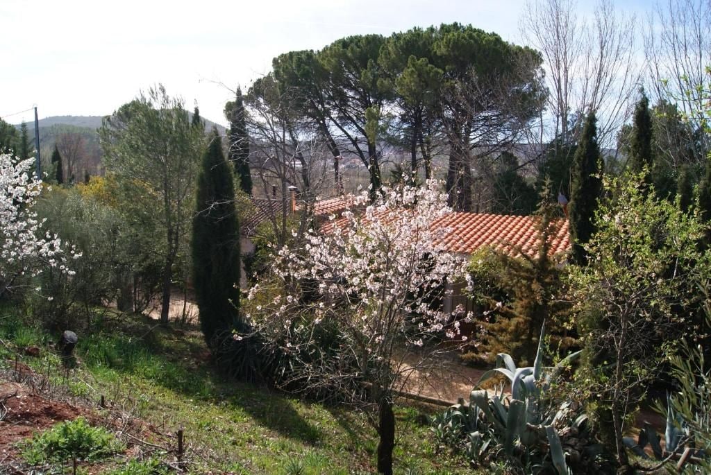Um jardim com diversas árvores e um edifício com telhado de telhas vermelhas.