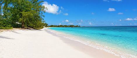 A beach with clear turquoise water, white sand, and green foliage.