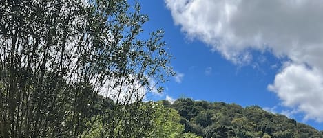 A well-maintained grassy area with a pond, trees, and a hill in the background.