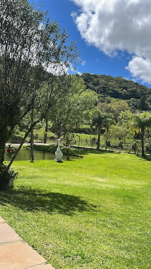 A well-maintained grassy area with a pond, trees, and a hill in the background. - A COUNTRY ESTATE IN FARROUPILHA - THE PERFECT RETREAT TO LIVE AWAY FROM THE BIG CITY! (São Pedro)