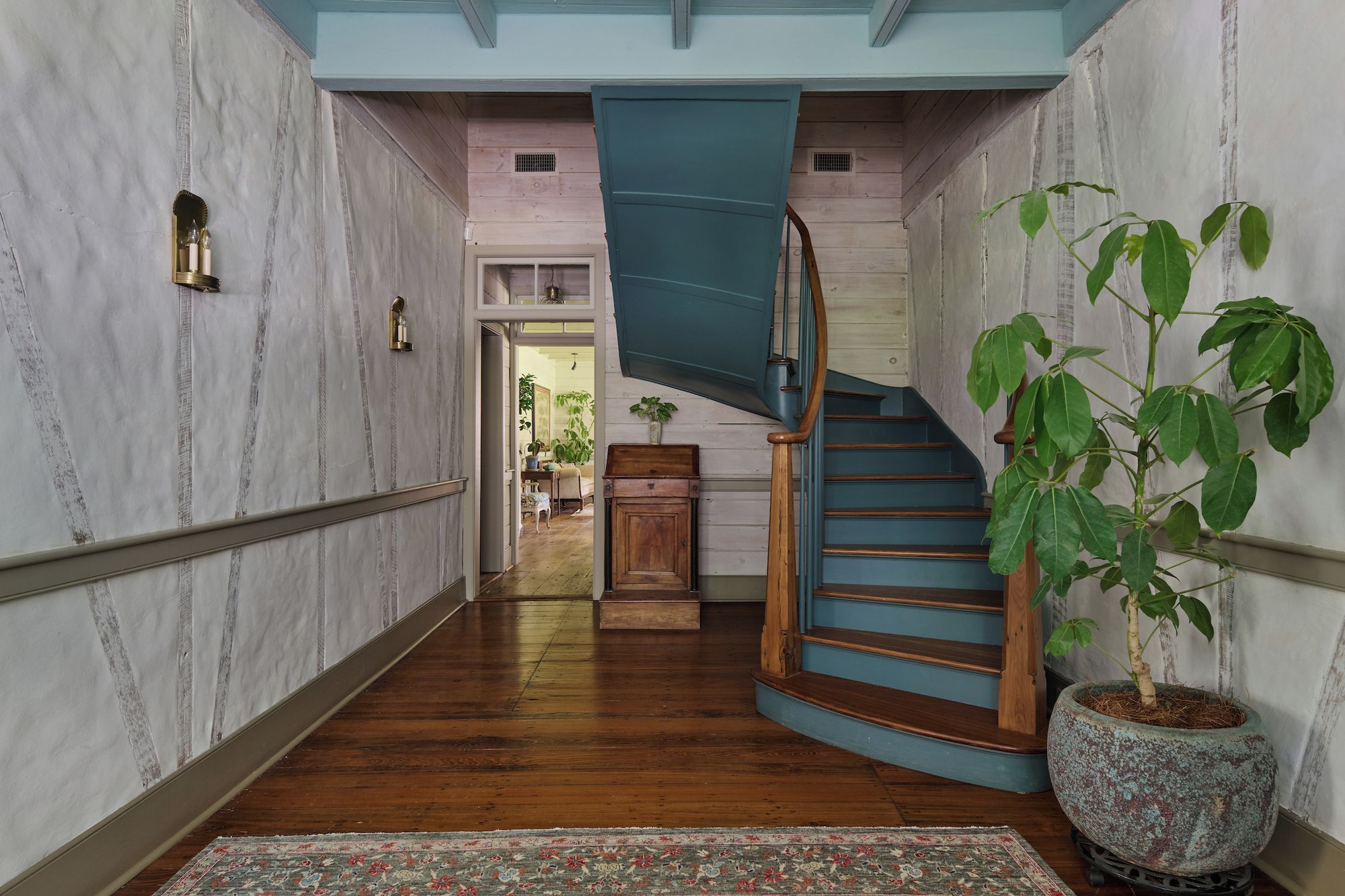 A hallway with a wooden floor, a blue staircase, and a potted plant.