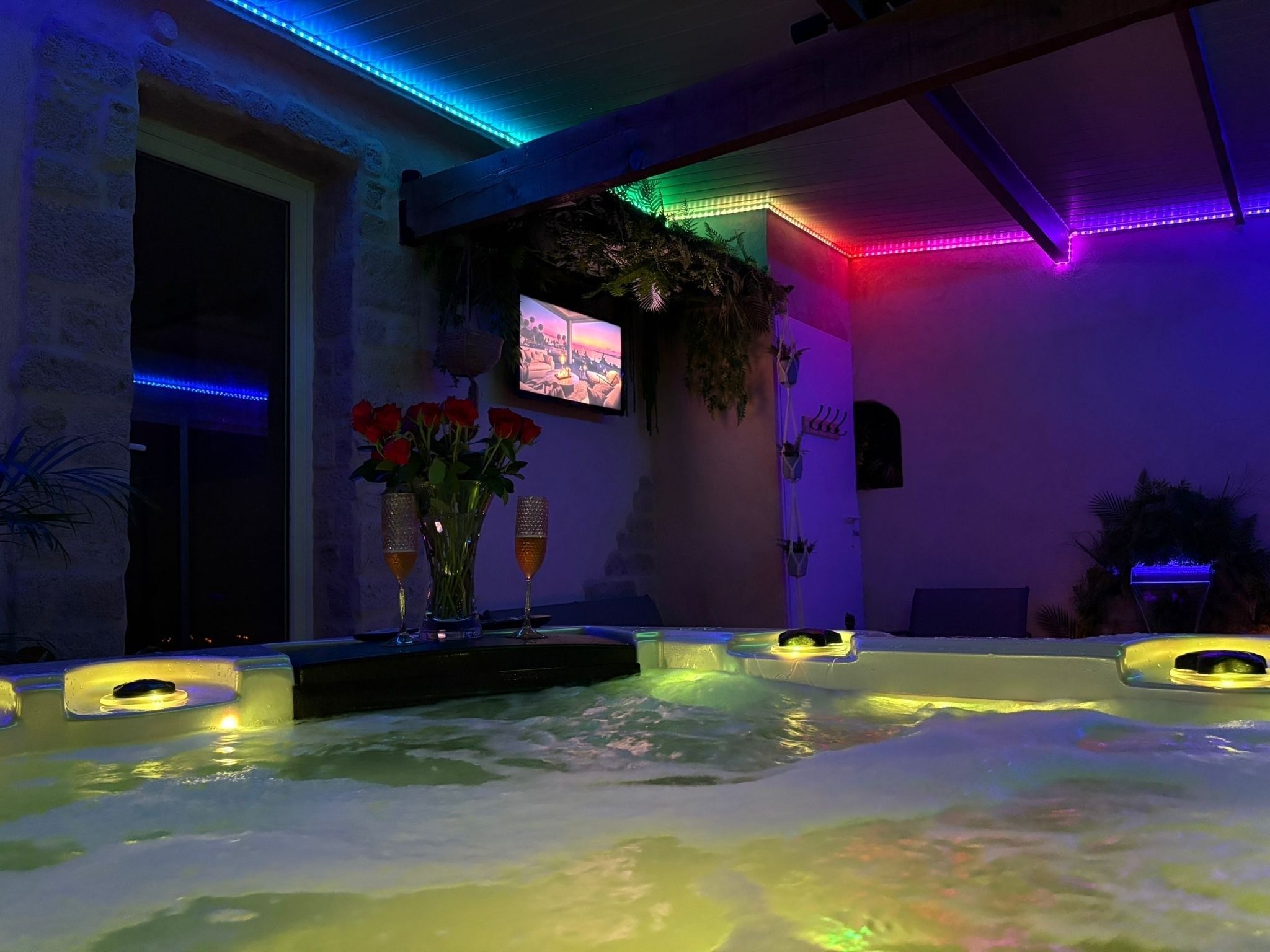 Un espace bien-être comprenant un jacuzzi, un écran de télévision et des plantes décoratives.