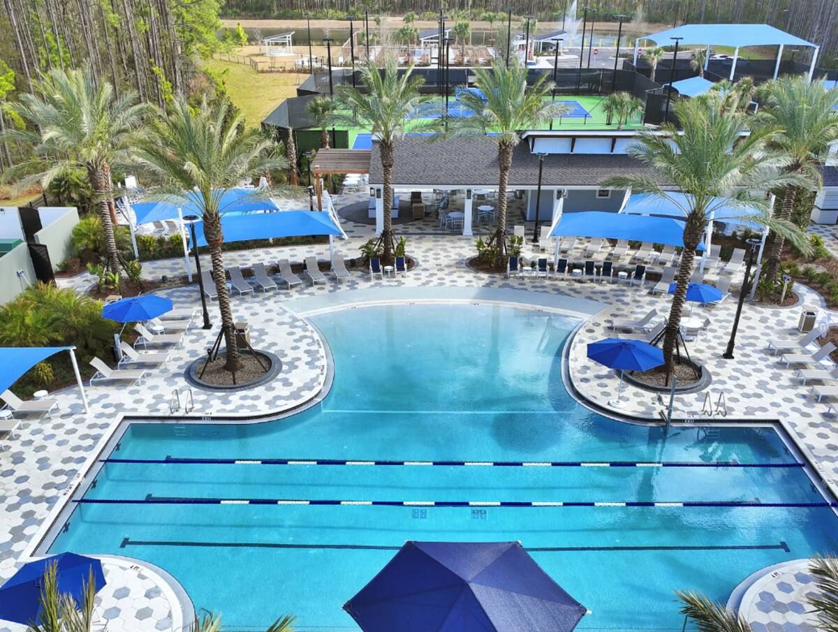 Ein Swimmingpool mit Liegestühlen und Sonnenschirmen, umgeben von Palmen.