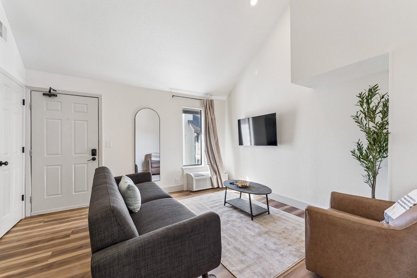 Un salon moderne avec un canapé, une table basse, un téléviseur et une plante.