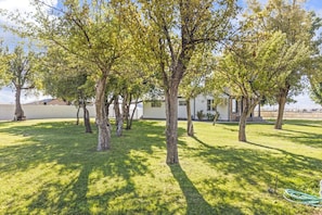 A backyard with multiple trees, a white house, and a clear sky. - Cozy Salina Home w Patio, Yard & Full Kitchen! (Salina)