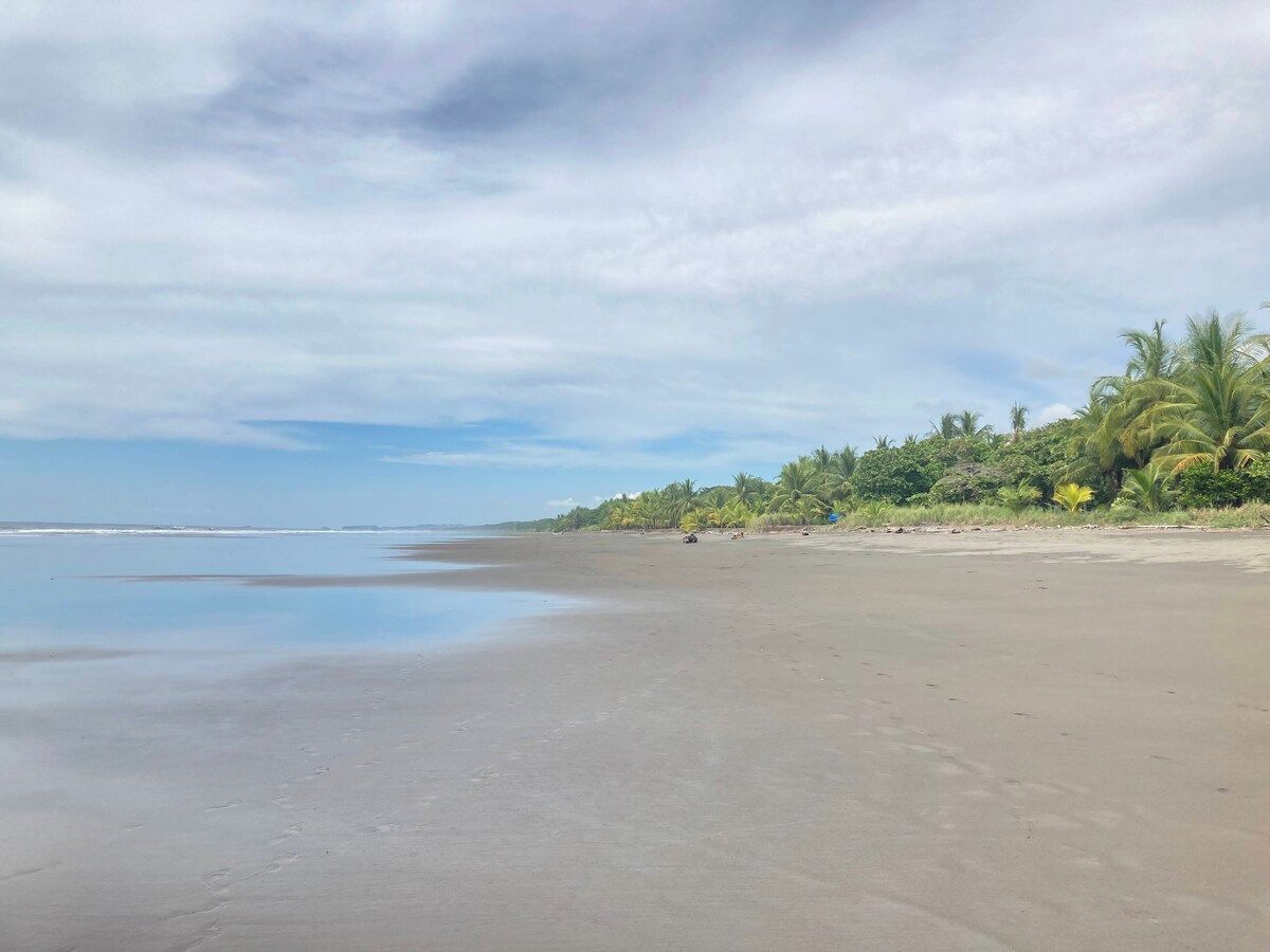 A beach with a clear sky, calm sea, and palm trees.