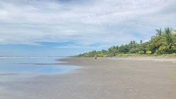 A beach with a clear sky, calm sea, and palm trees.