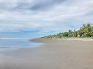 Ein Strand mit klarem Himmel, ruhiger See und Palmen.