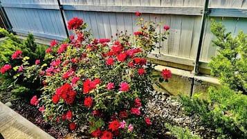 En trädgård med röda blommor och gröna buskar.