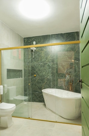 Un baño moderno con ducha envuelta en vidrio, una bañera independiente y un inodoro.