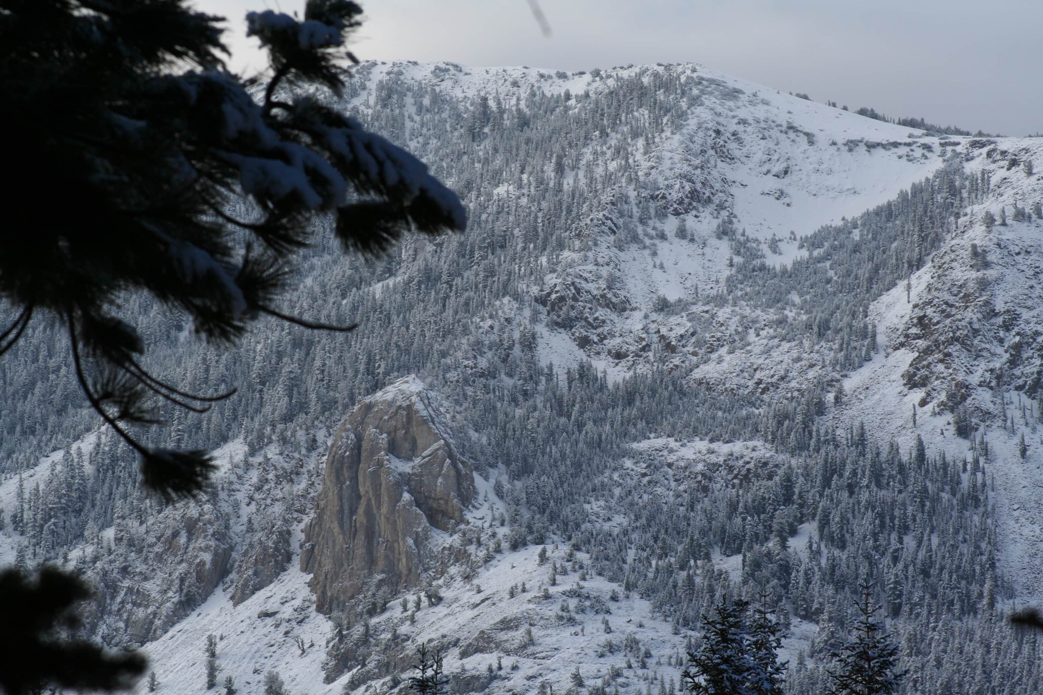 Eine verschneite Berglandschaft mit dichten Wäldern und einer markanten Felsformation.