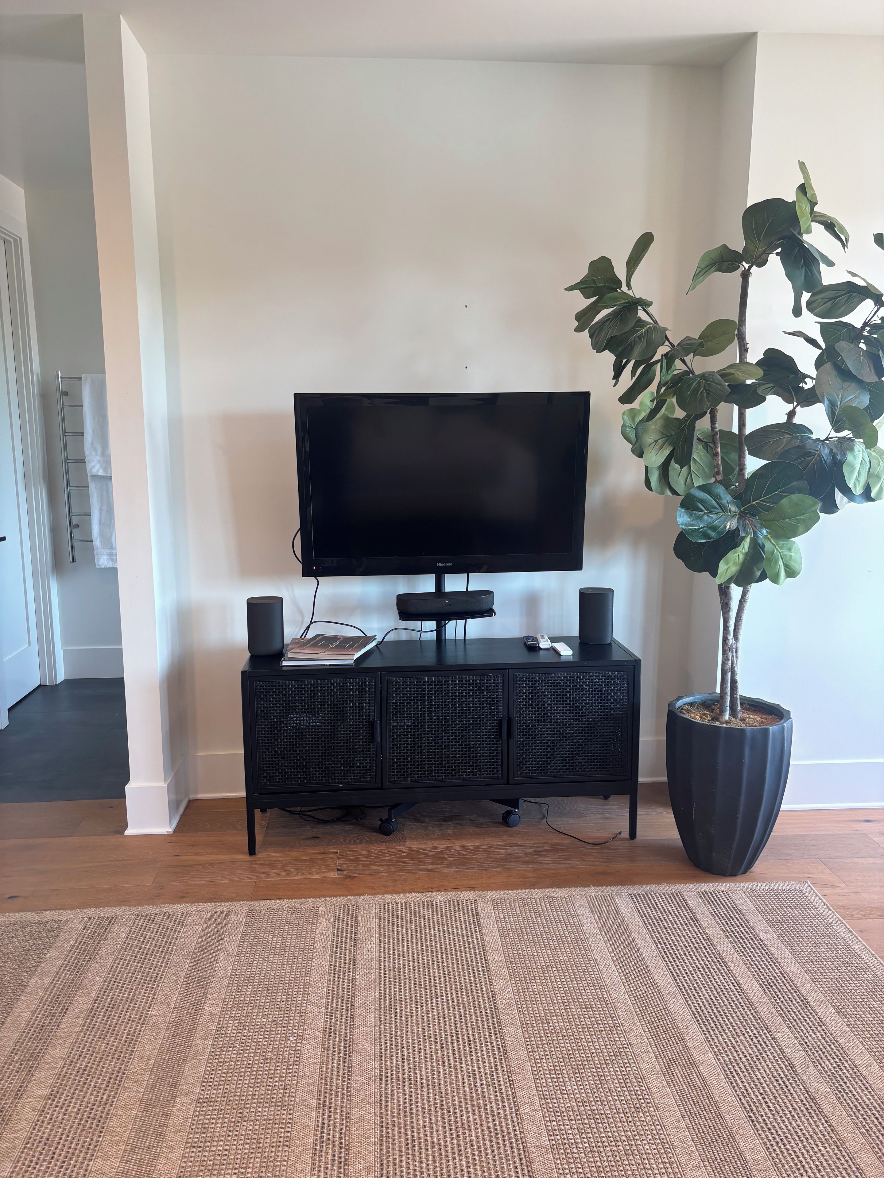 Un salon avec un téléviseur à écran plat posé sur un meuble noir, une plante en pot et un tapis tissé.
