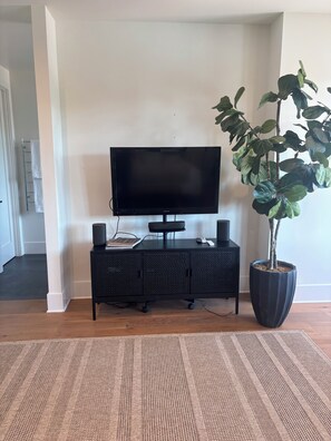A living room with a flat-screen TV on a black stand, a potted plant, and a woven area rug. - Riverview luxury master suite only 13 minutes from the Sac International Airport (Sacramento)