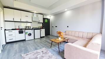 Et moderne køkken med indbyggede hårde hvidevarer, en sofa og et lille bord med en plante.