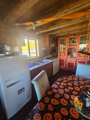 A kitchen with a refrigerator, stove, sink, and cabinets. - Rustic 3-Bedroom Off-Grid Cabin at the Base of Electric Mountain (Paonia)