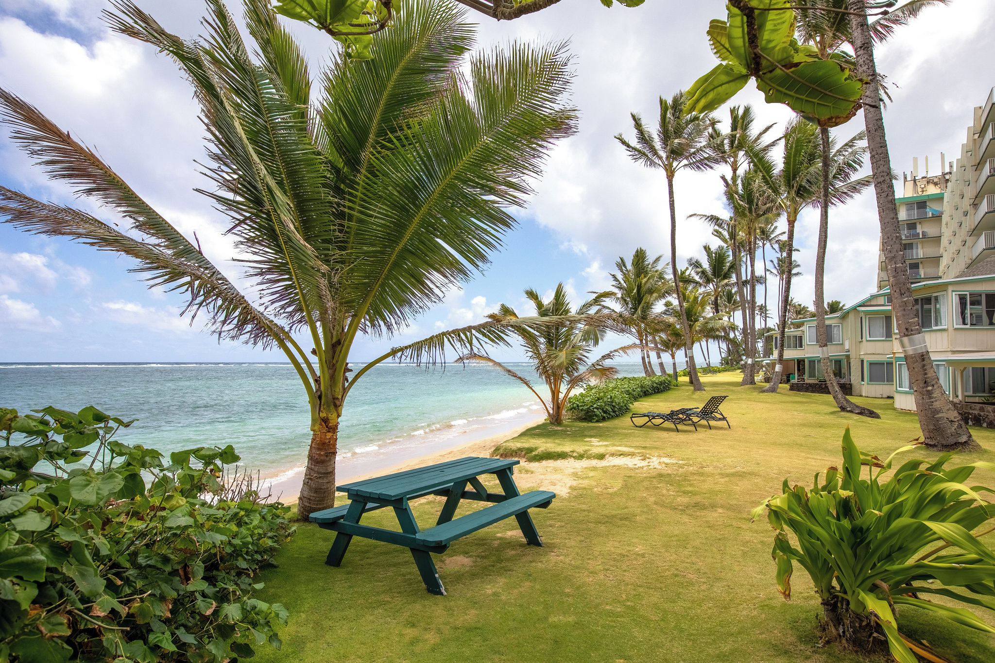 A beachfront property with a grassy lawn, a picnic table, and palm trees.