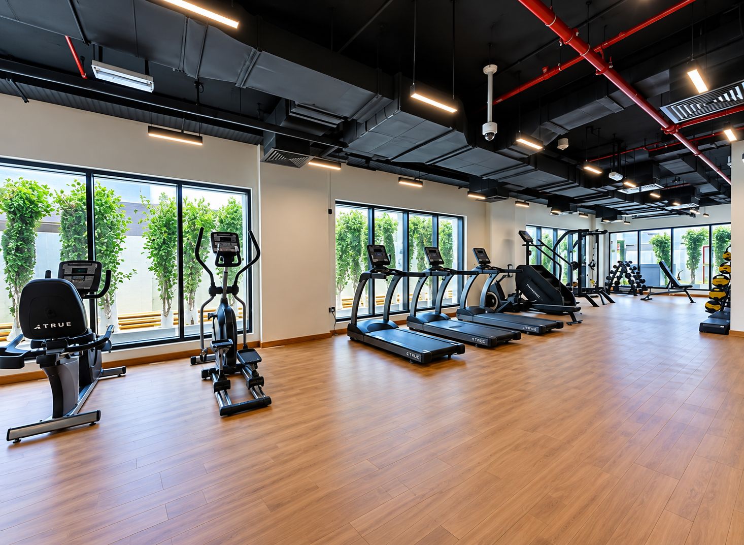 A gym with cardio machines, free weights, and a large window with a view of trees.