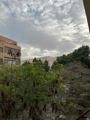 Een gebouw met meerdere ramen en een balkon, omgeven door weelderige beplanting en bomen.