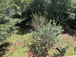 Een tuin met verschillende bomen en een omheind gebied.
