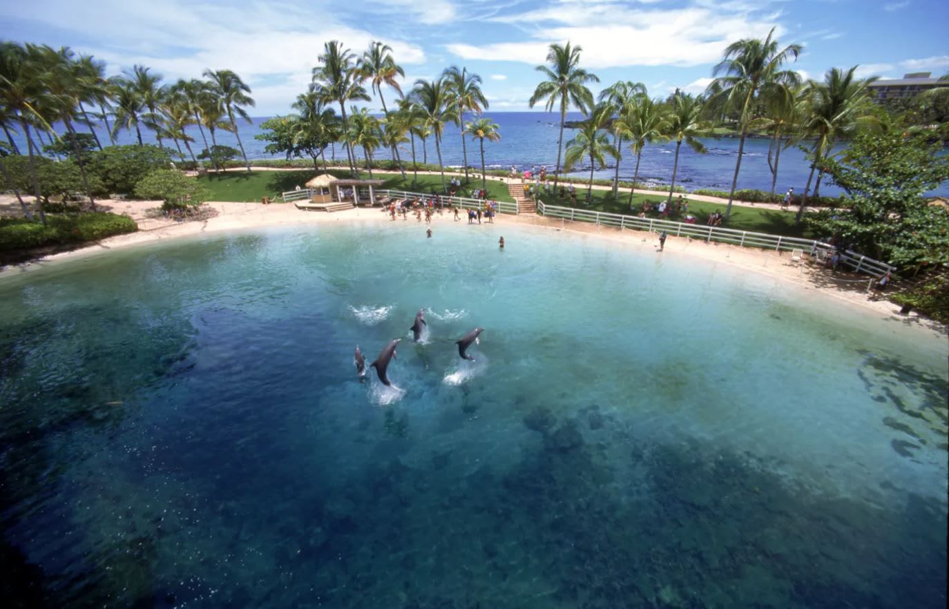 A clear pool surrounded by palm trees and a beach, with people swimming and enjoying the water.