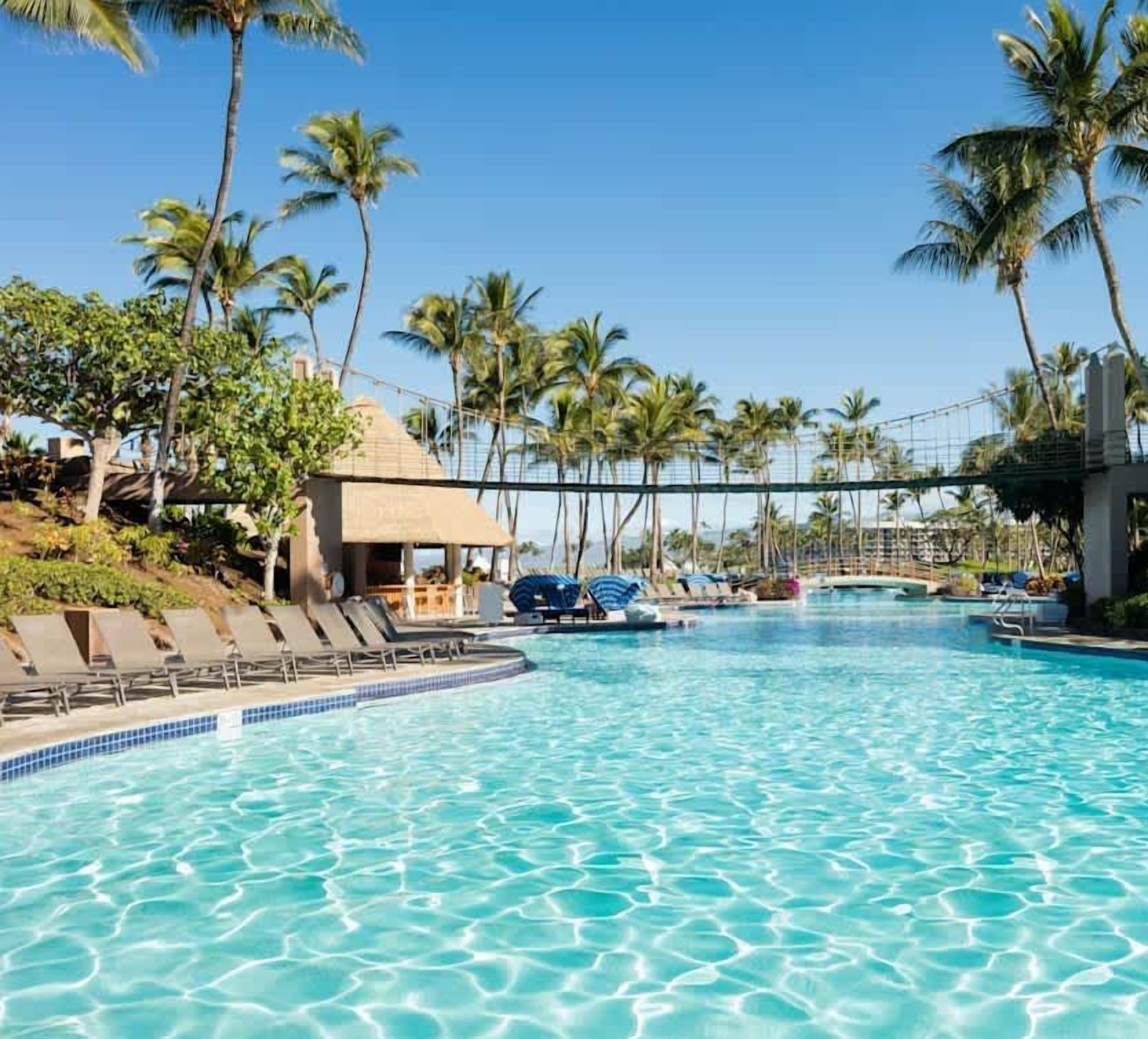 A swimming pool with lounge chairs and palm trees.
