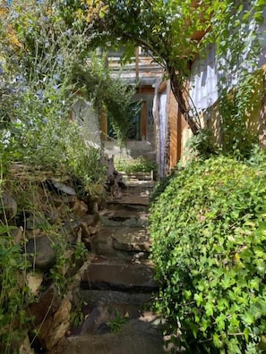 Un sendero de piedra que atraviesa un exuberante jardín con un edificio al fondo.
