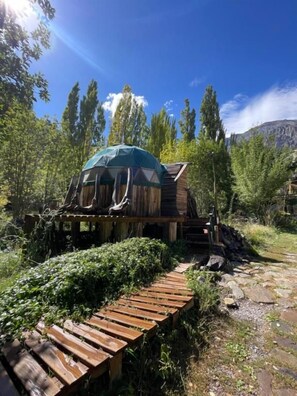 Una cabaña de madera rústica con techo verde, rodeada de árboles y un sendero pedregoso.
