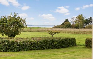 A grassy field with a tree and a hedge. - 3 bedroom stunning home in Bogense (Bogense)